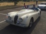 1954 - JAGUAR XK 120 -