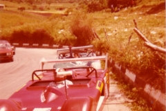 TARGA-FLORIO-1977DALLARA-N37.1300-DALLARAN44